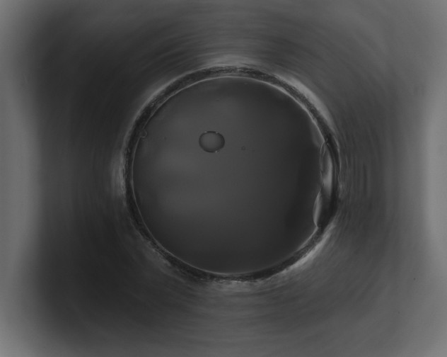 X0000100920783200806241343