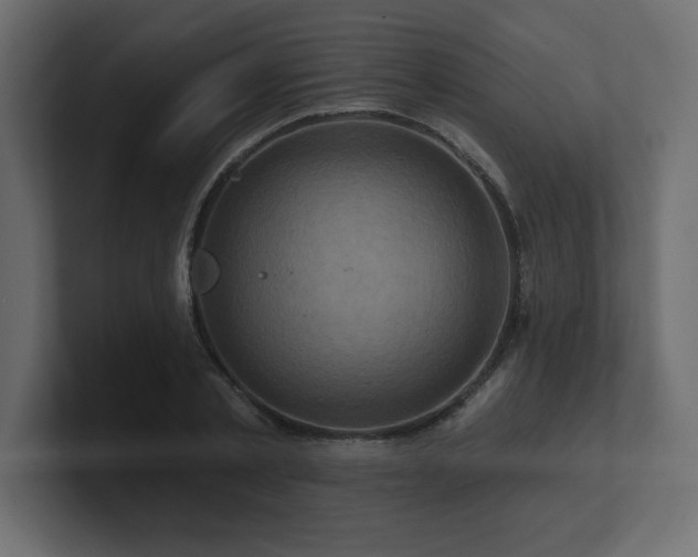 X0000100920789200806241343