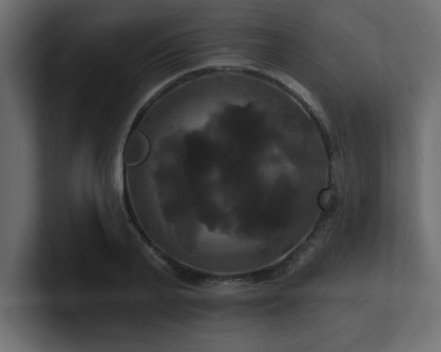 X0000100920791200806241343