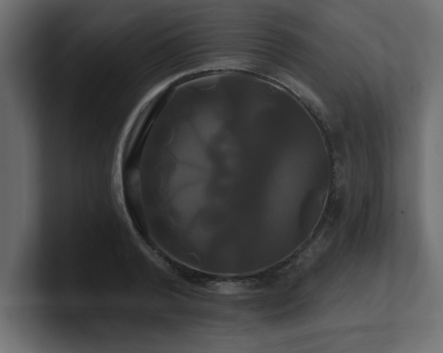 X0000100920792200806241343