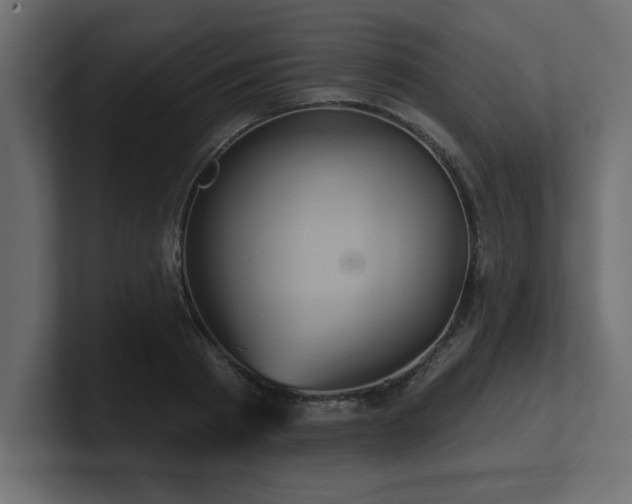 X0000100920793200806241343