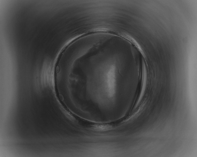 X0000100920795200806241343