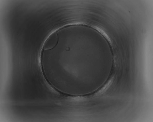 X0000100920797200806241343