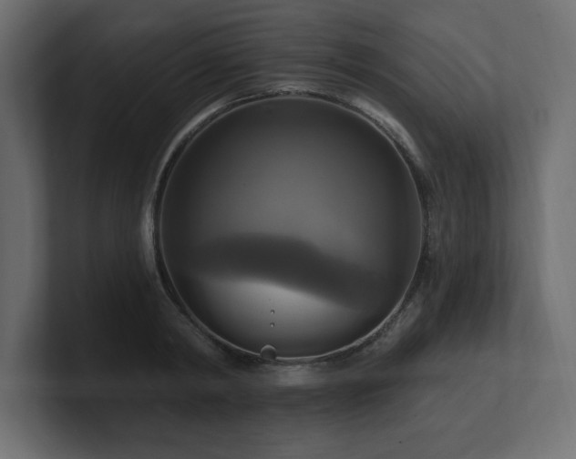 X0000100920798200806241343