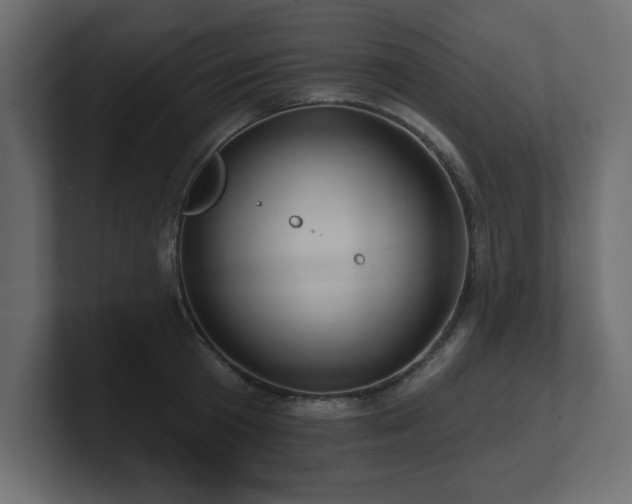 X0000100920801200806241343