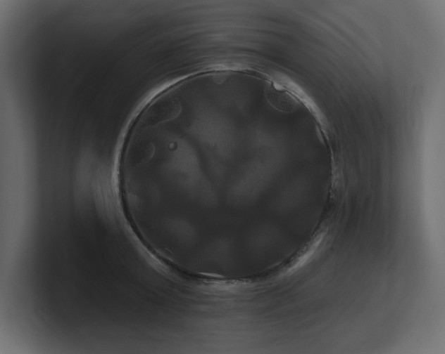X0000100920803200806241343