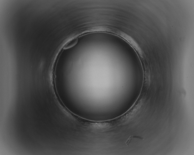 X0000100920805200806241343
