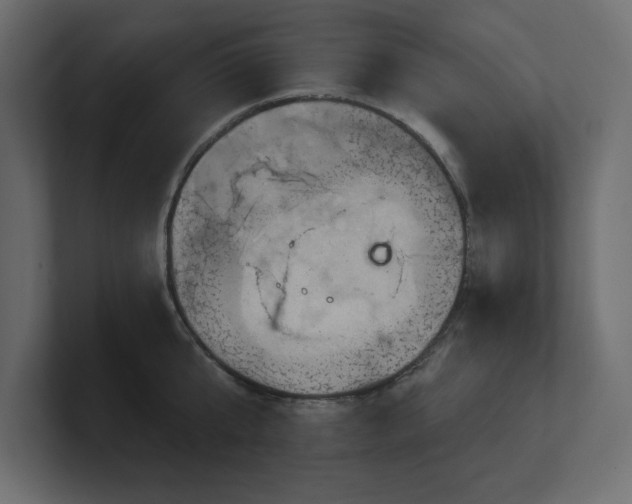 X0000100920807200806241343