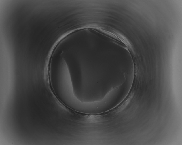 X0000100920808200806241343