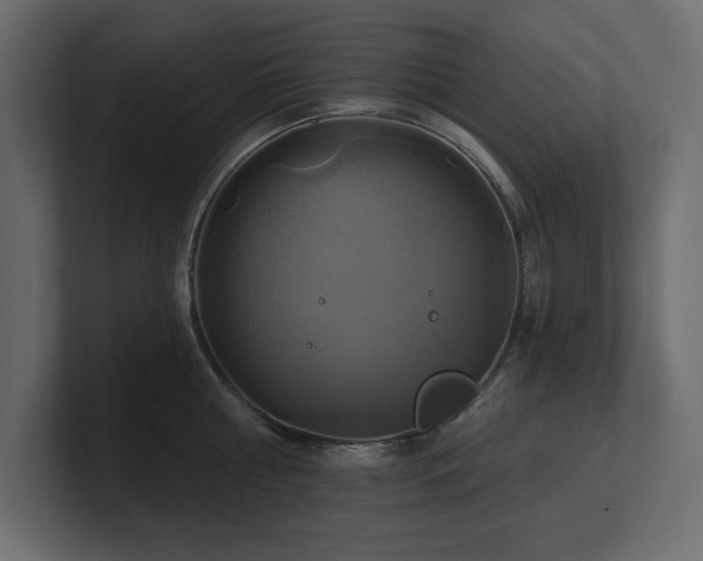 X0000100920810200806241343
