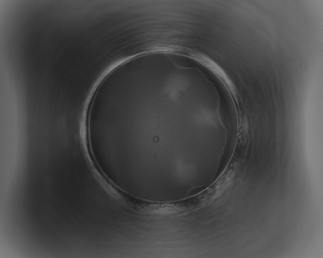 X0000100920811200806241343