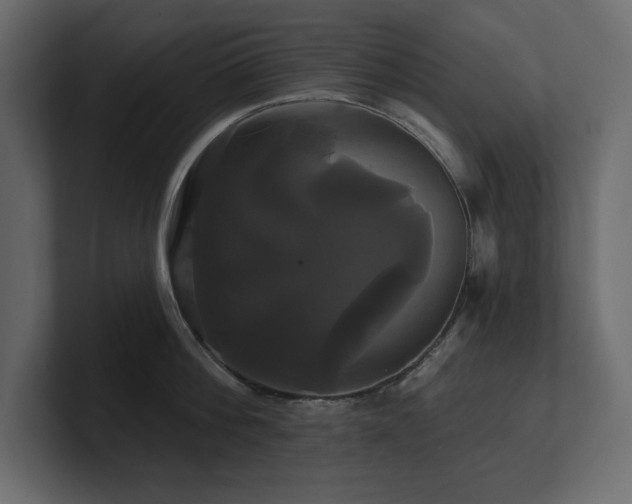 X0000100920812200806241343