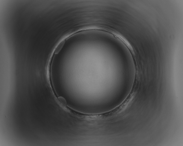X0000100920813200806241343