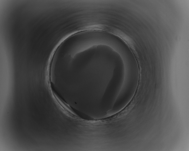 X0000100920816200806241343