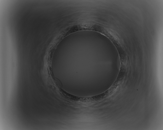 X0000100920817200806241342