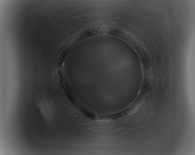 X0000100920818200806241342