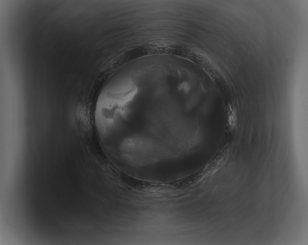 X0000100920819200806241342