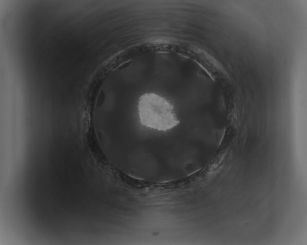 X0000100920821200806241342