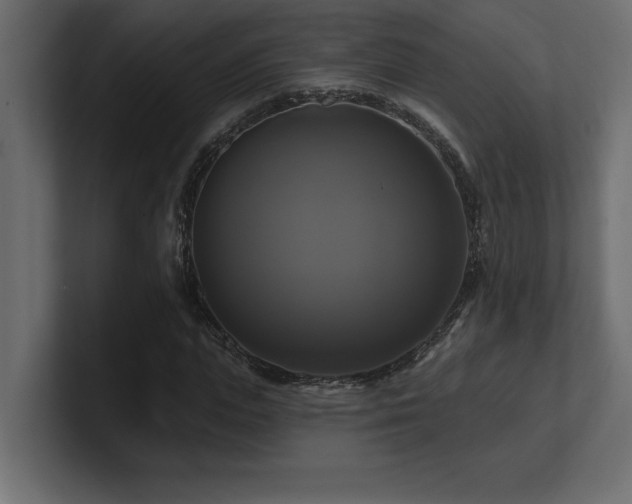 X0000100920823200806241342