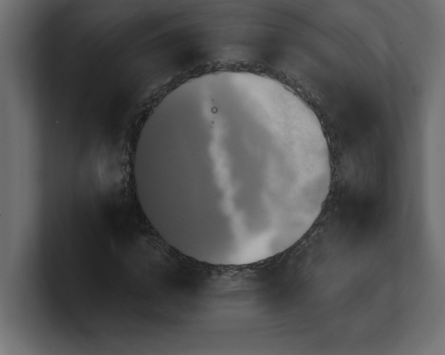X0000100920824200806241342
