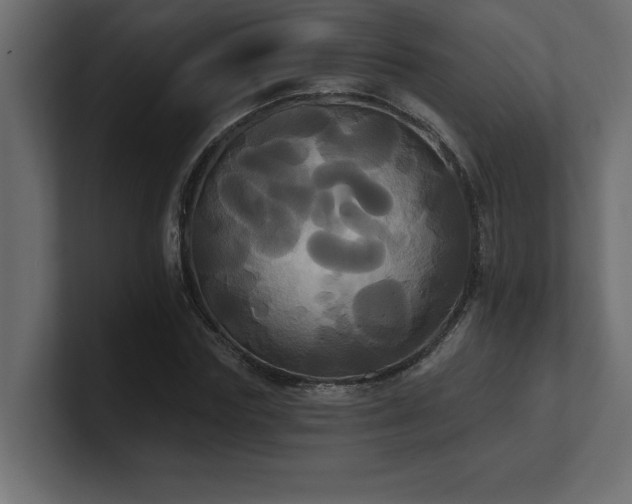 X0000100920827200806241342