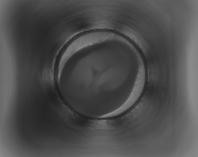 X0000100920828200806241342