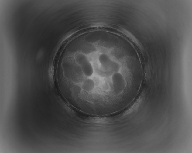 X0000100920831200806241342