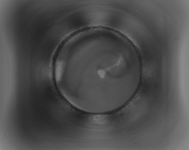 X0000100920832200806241342