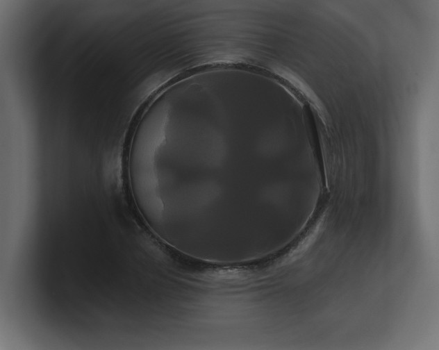 X0000100920834200806241342