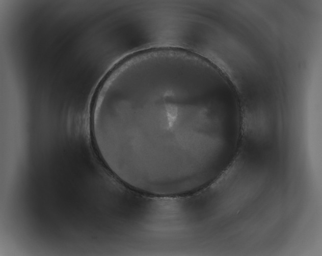 X0000100920836200806241342