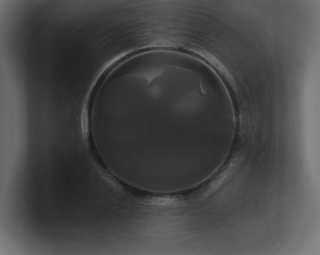 X0000100920838200806241342