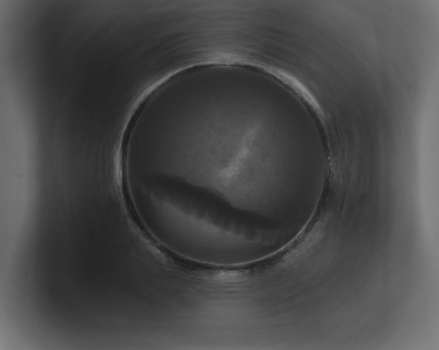X0000100920839200806241342