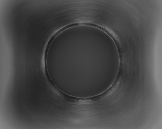 X0000100920840200806241342