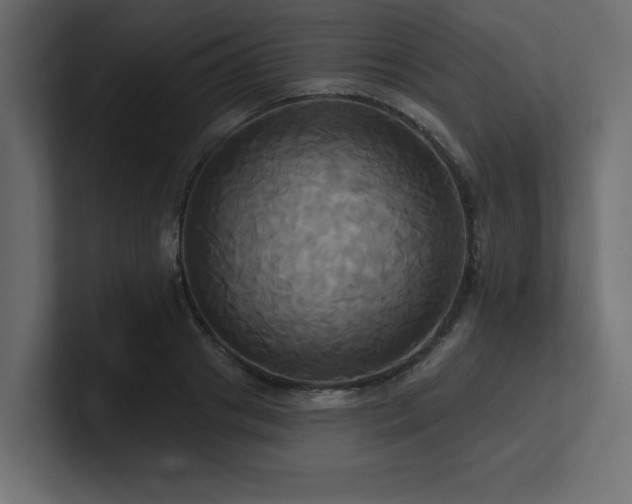 X0000100920841200806241342