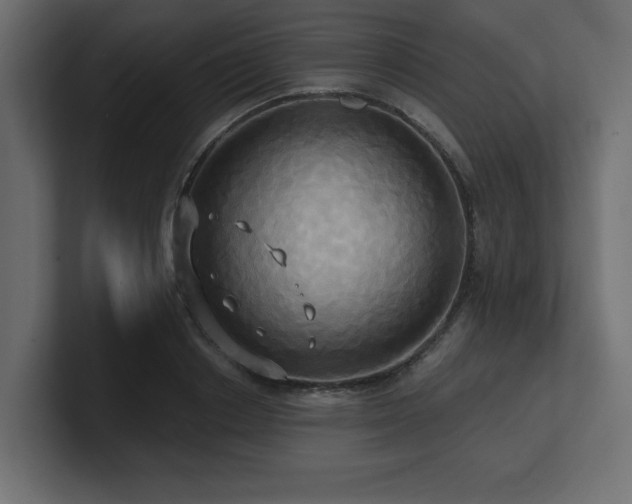 X0000100920842200806241342