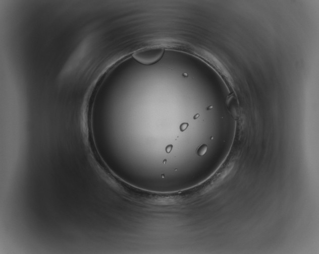 X0000100920843200806241342