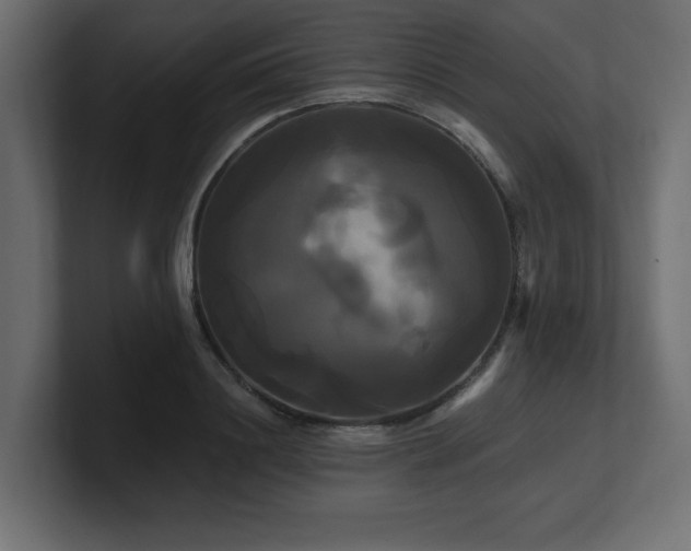 X0000100920844200806241342