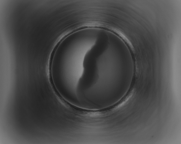 X0000100920845200806241342