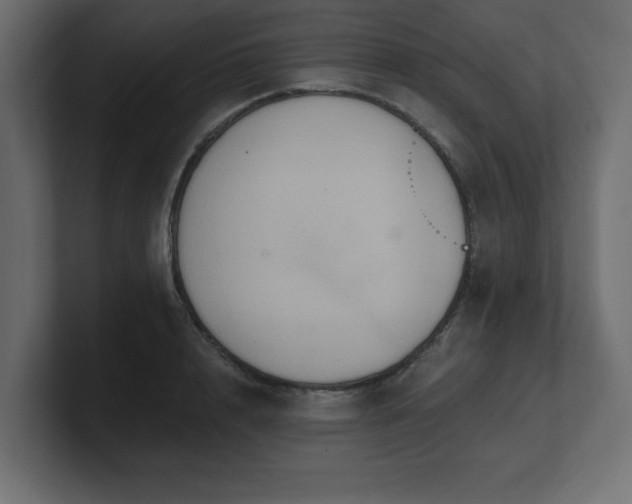 X0000100920848200806241343