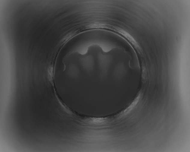 X0000100920849200806241343