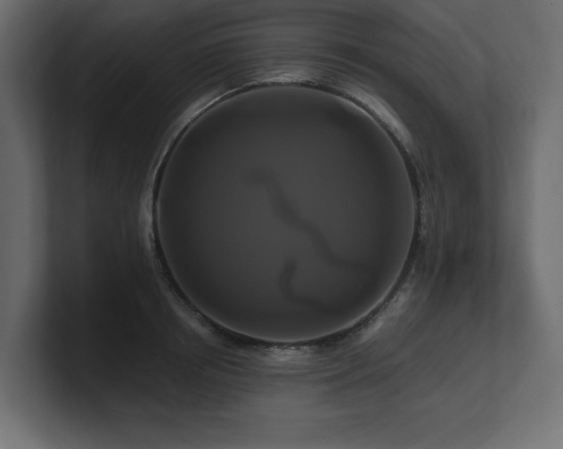 X0000100920850200806241343