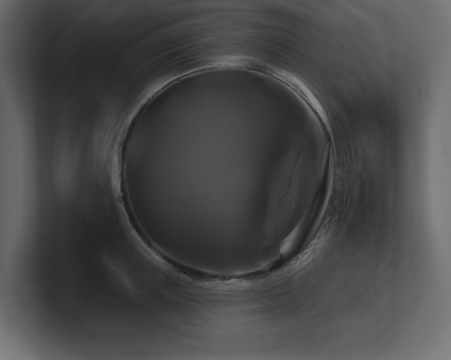 X0000100920851200806241343