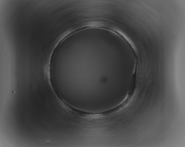 X0000100920853200806241343