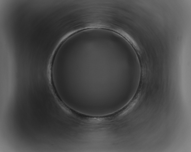 X0000100920854200806241343