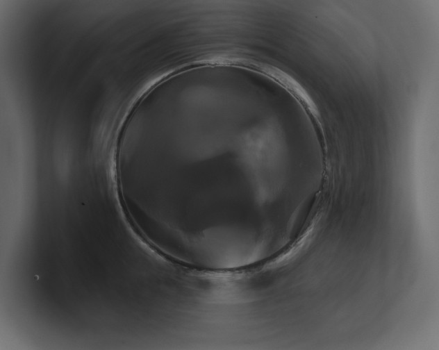 X0000100920855200806241343