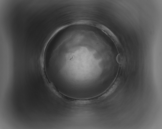 X0000100920860200806241343