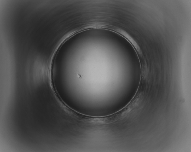 X0000100920861200806241343