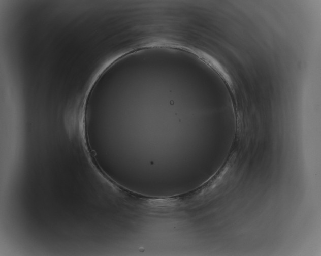 X0000100920863200806241343