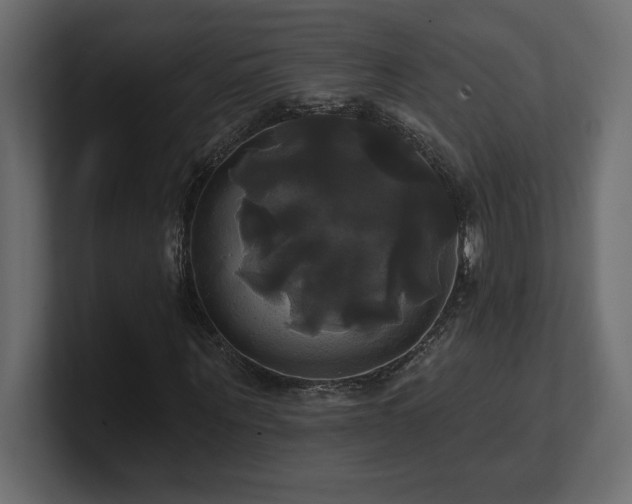 X0000100920867200806241342