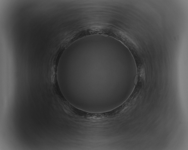 X0000100920868200806241342